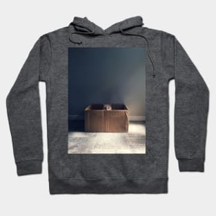 Cat in a box. The Zen cat master. Photography Hoodie